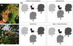 New article in Functional Ecology!