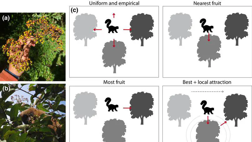 New article in Functional Ecology!